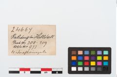 Etikett zu Bronzering (NHMW-PRAE-024667)